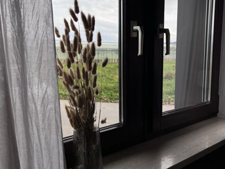 Konstanz Bodensee Seensucht Fensterausblick
