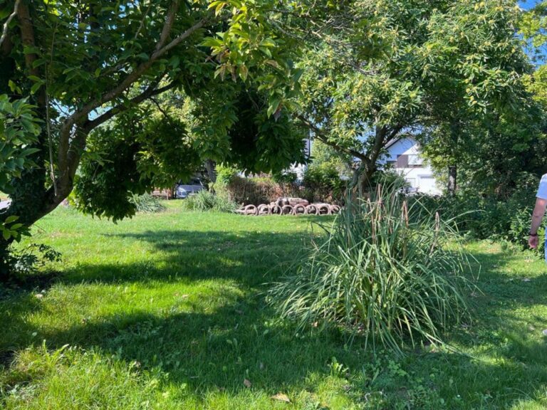 Konstanz Bodensee Seensucht Garten 3