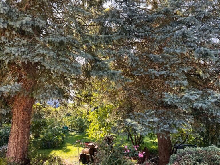 Konstanz Bodensee Seensucht Garten 4