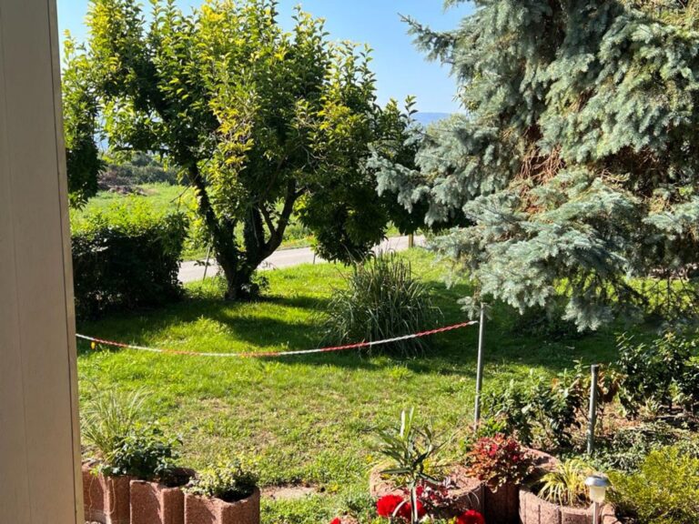 Konstanz Bodensee Seensucht Garten