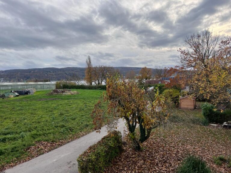 Konstanz Bodensee Seensucht Umgebung