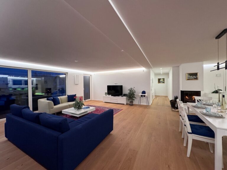 Konstanz Bodensee Seeseensucht Wohnzimmer mit Essbereich Kamin und Multimedia TV