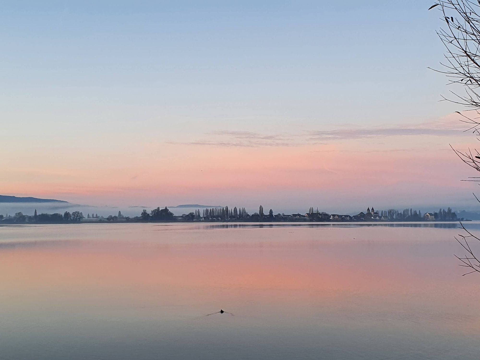 Konstanz im Winter Bodensee Winter