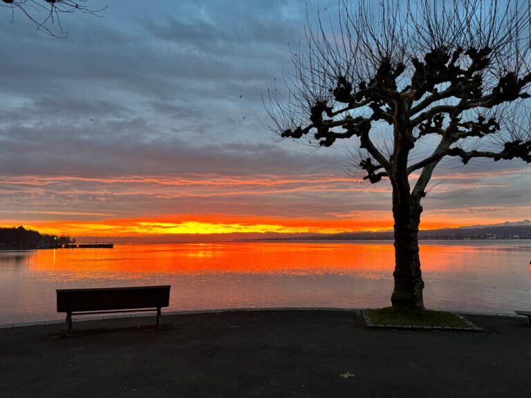 Konstanz und Bodensee Abendstimmung