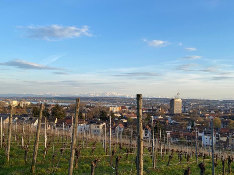 Konstanz und Bodensee Blick auf Konstanz Bismarckturm 2
