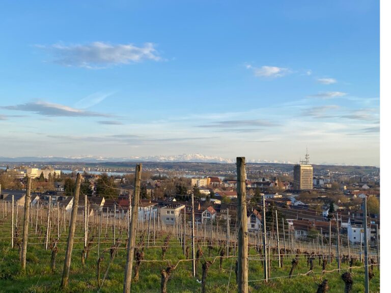 Konstanz und Bodensee Blick auf Konstanz Bismarckturm