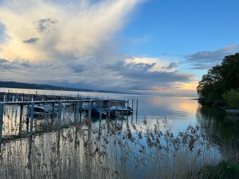 Konstanz und Bodensee Blick auf den See 2