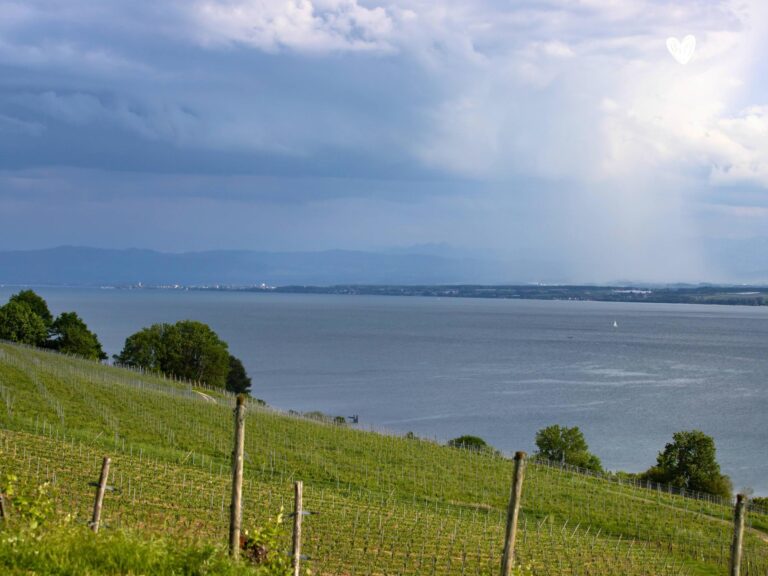 Konstanz und Bodensee Blick auf den See