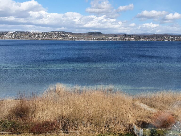Konstanz und Bodensee Blick auf die andere Seeseite