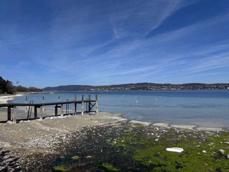 Konstanz und Bodensee Uferlandschaft in Dingelsdorf