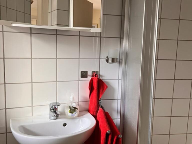 Seeglueck Oase Konstanz Bodensee St Johan Retro 2 Bad mit Dusche