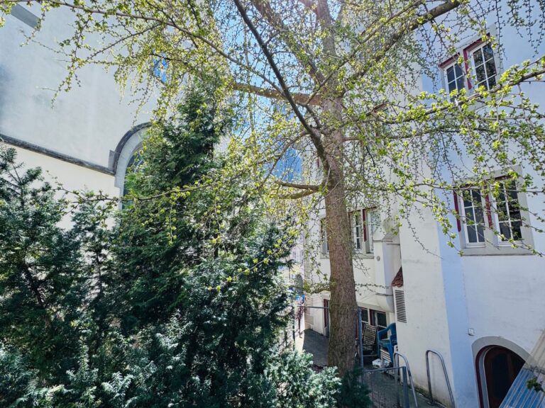 Seeglueck Oase konstanz Bodensee St Johan Retro 1 Blick vom Innenhof