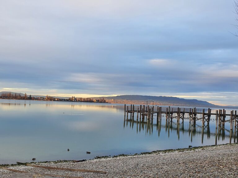 Seeglueck Rheinparadies Konstanz Bodensee Bodenseeufer