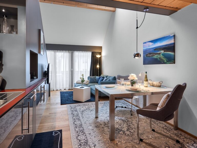 Seeglueck Seediamant Konstanz Bodensee Appartementansicht mit Essbereich Wohnbereich mit Multimedia TV