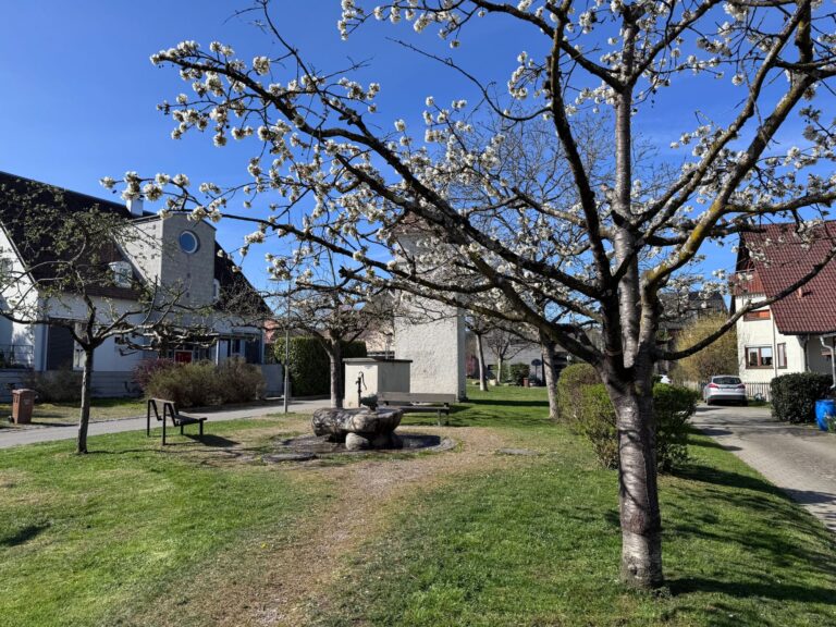 Seeglueck Seediamant Konstanz Bodensee Nachbarschaft