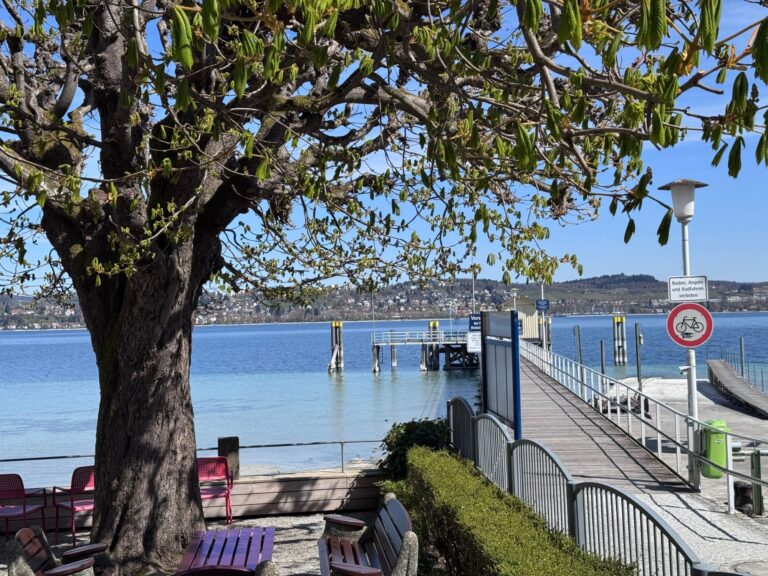 Seeglueck Seediamant Konstanz Bodensee Uferpromenade 2