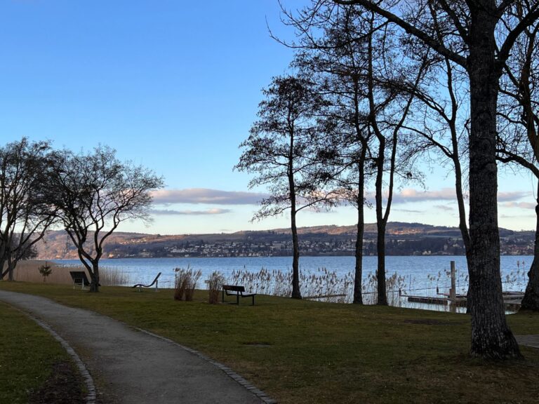 Seeglueck Seegold Konstanz Bodensee Bodensee 6