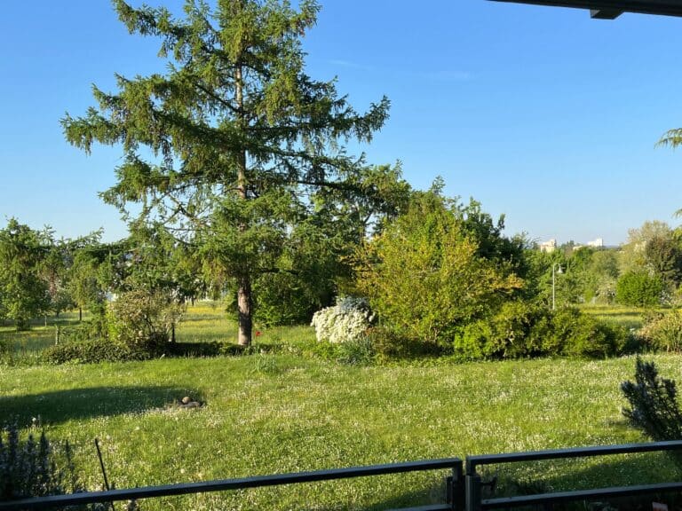 Blick vom Balkon 2