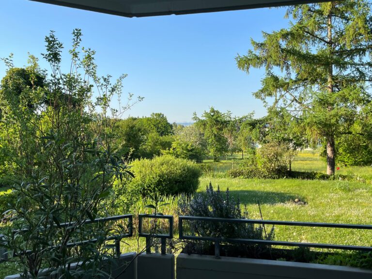 Blick vom Balkon