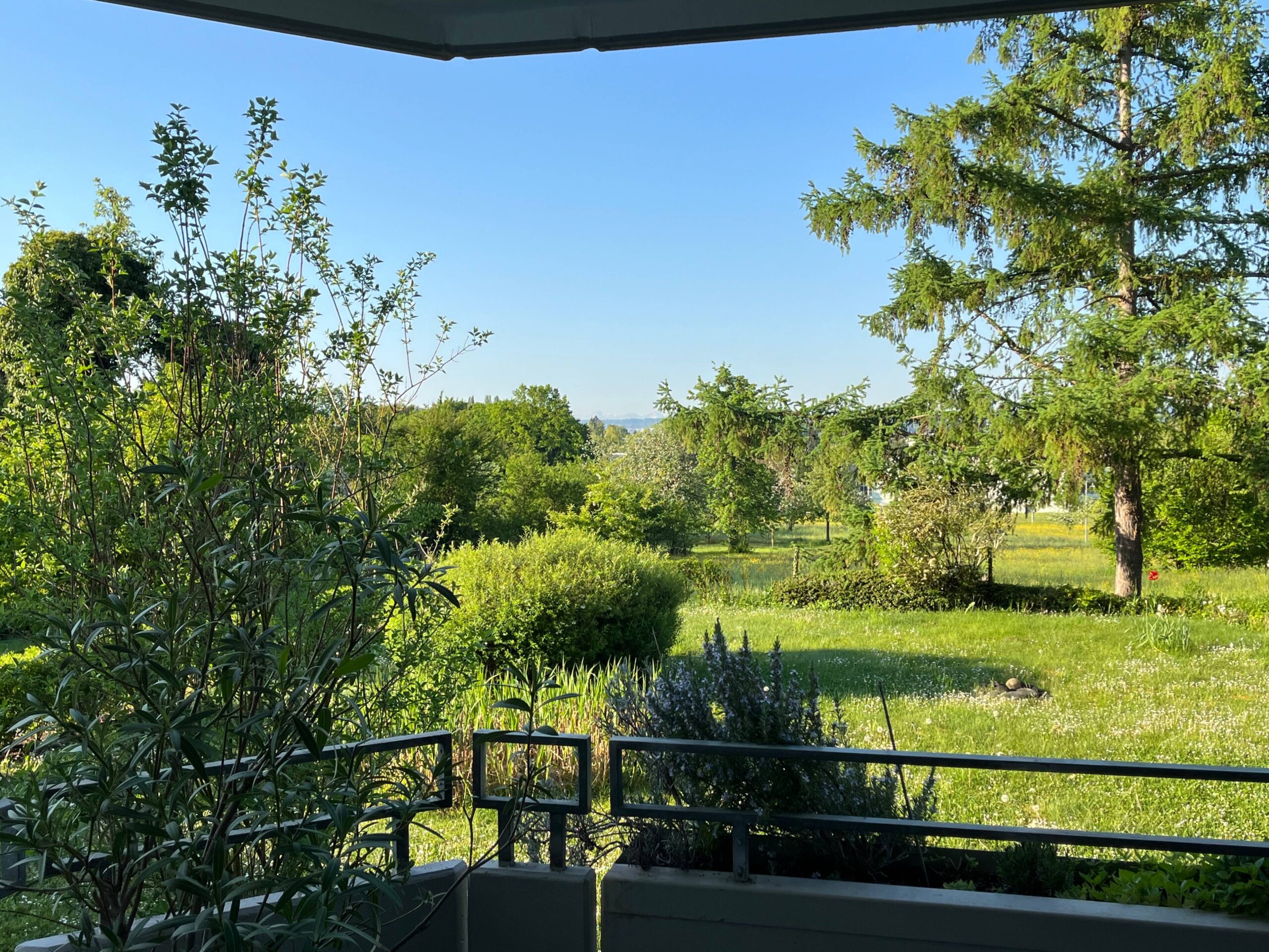Blick vom Balkon scaled