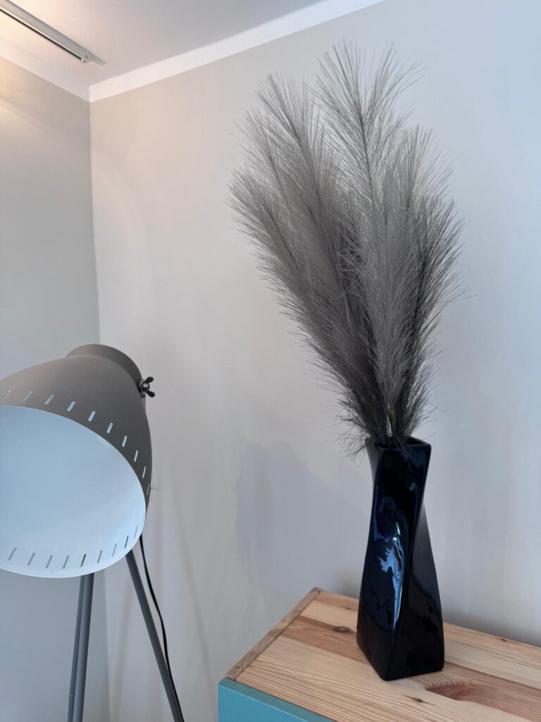 PHOTO 2026 02 07 12 37 41 1