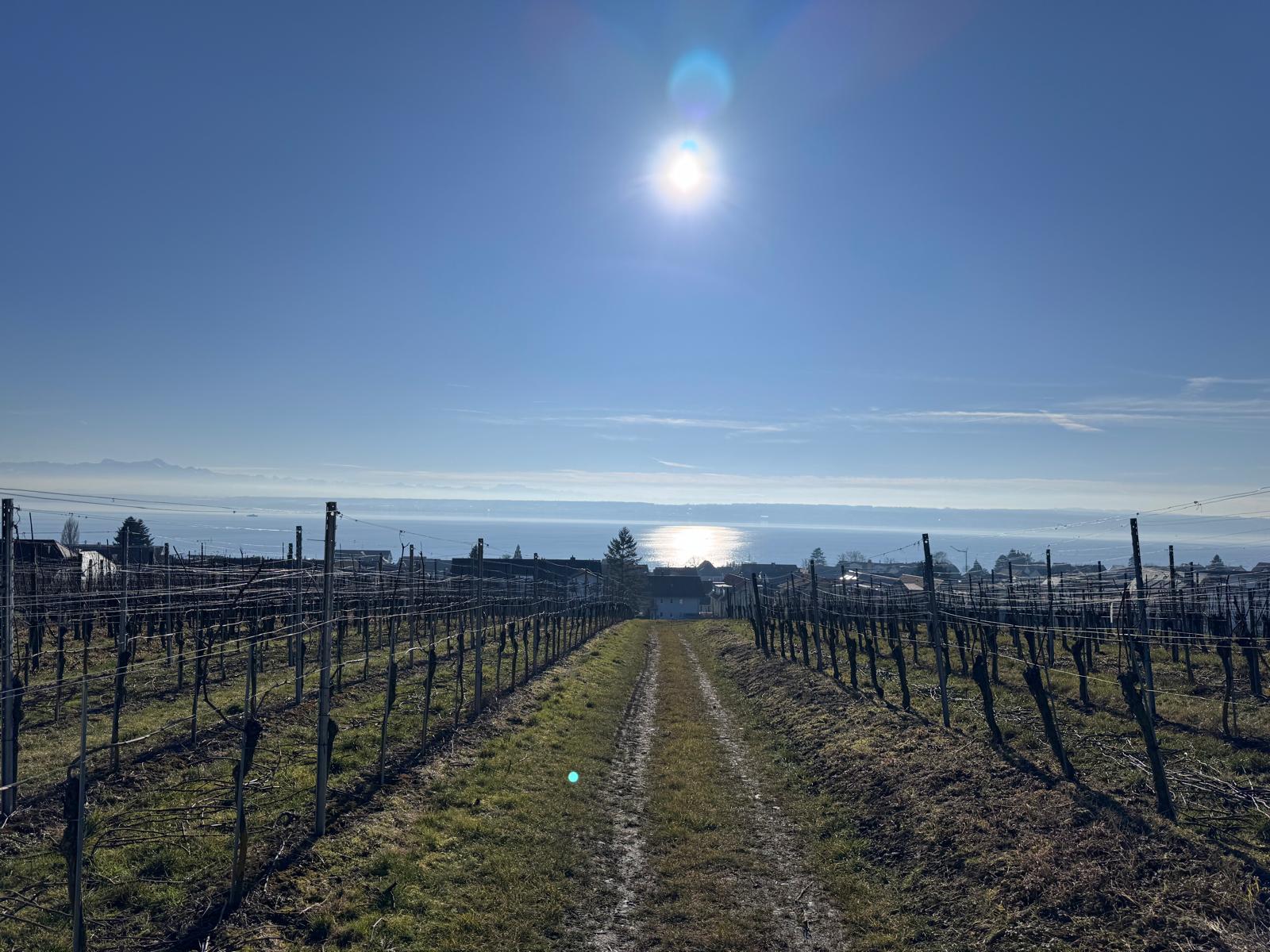 Ferienwohnungen 4 Umgebung