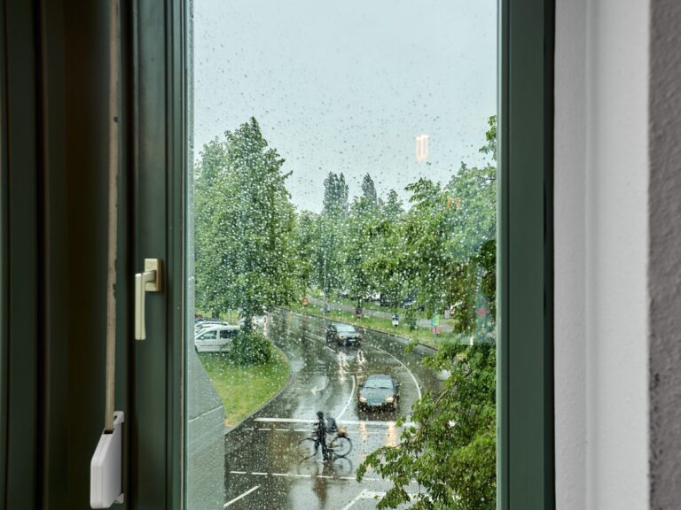 aussicht 02
