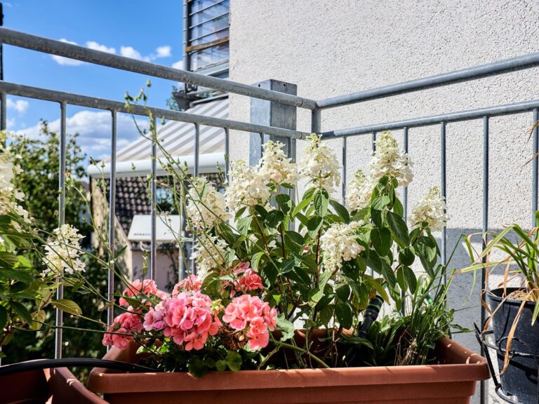 seeglueck | Altstadt refugium | hofgarten 28 Balkon 03