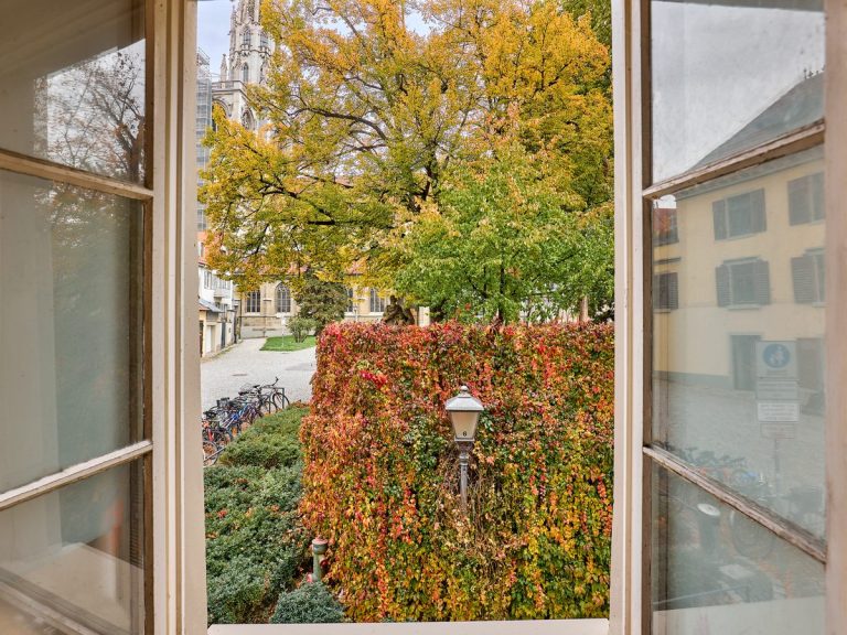 seeglueck | Münsterzauber | zentral 21 Blick vom Fensterbrett auf das Konstanzer Münster und Herbstfarben